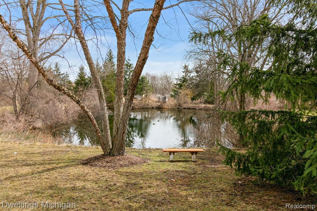 22000 RIVER RIDGE Trail, Farmington Hills, MI 48335 — Photo 47