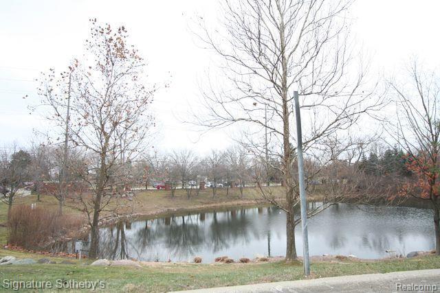39445 Springwater Drive, Northville, MI 48168 — Photo 20