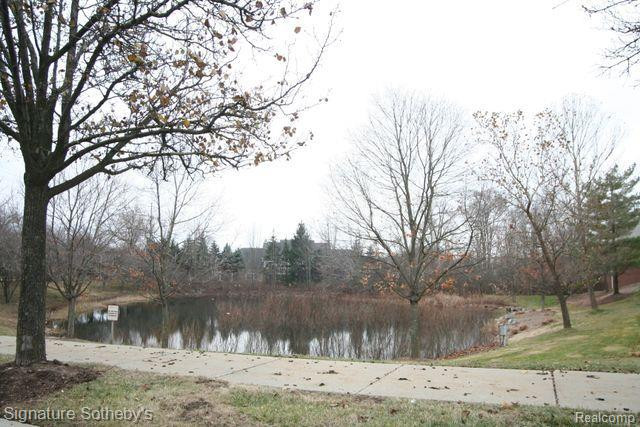 39445 Springwater Drive, Northville, MI 48168 — Photo 21