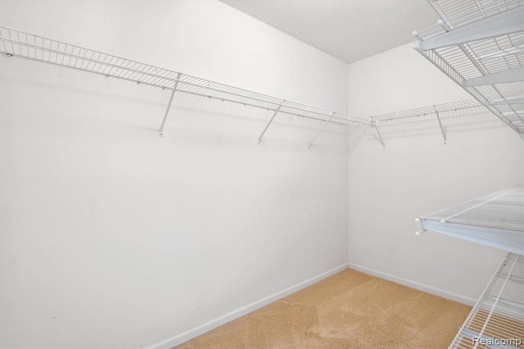 445 LILLY VIEW, Howell, MI 48843 — Photo 21
