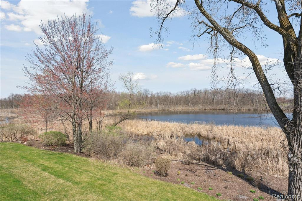445 LILLY VIEW, Howell, MI 48843 — Photo 44