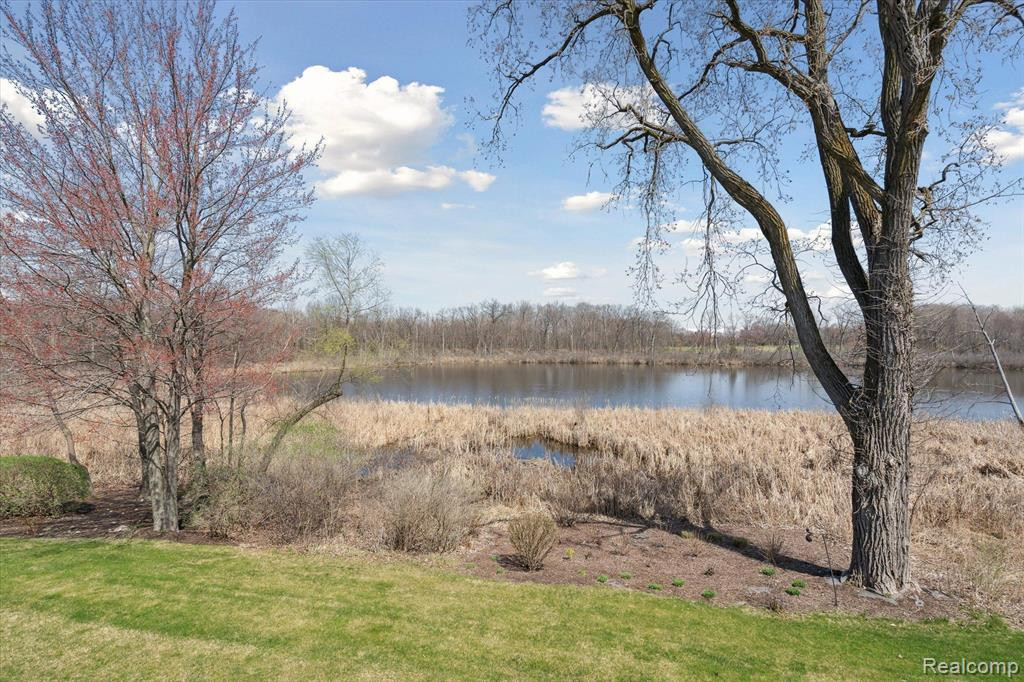 445 LILLY VIEW, Howell, MI 48843 — Photo 47