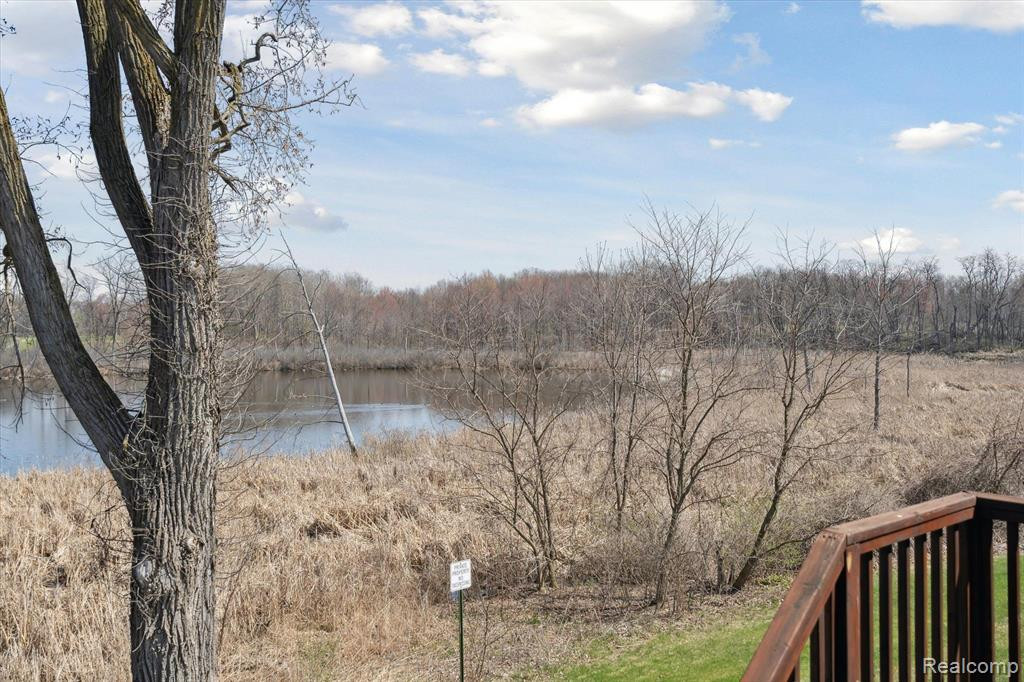 445 LILLY VIEW, Howell, MI 48843 — Photo 48