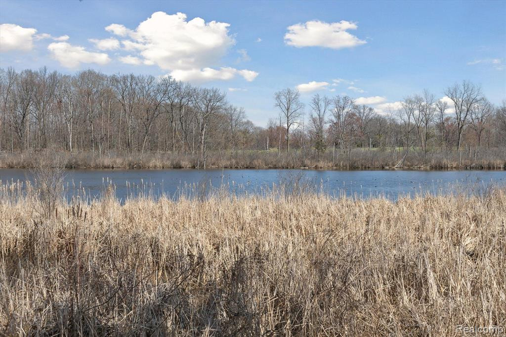 445 LILLY VIEW, Howell, MI 48843 — Photo 49