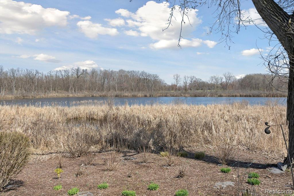 445 LILLY VIEW, Howell, MI 48843 — Photo 50