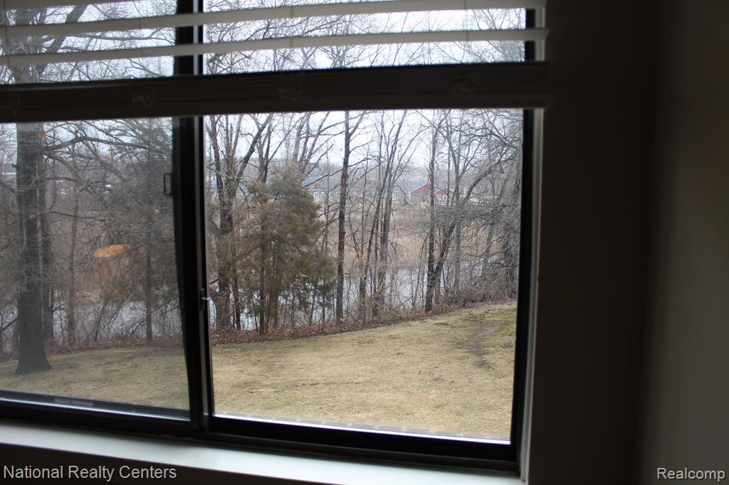 372 Spring Brooke Drive, 37, Brighton, MI 48116 — Photo 4