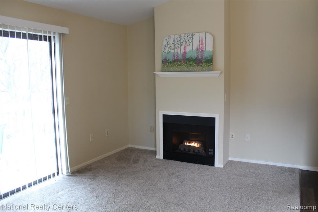 372 Spring Brooke Drive, 37, Brighton, MI 48116 — Photo 16