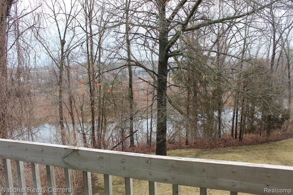 372 Spring Brooke Drive, 37, Brighton, MI 48116 — Photo 18