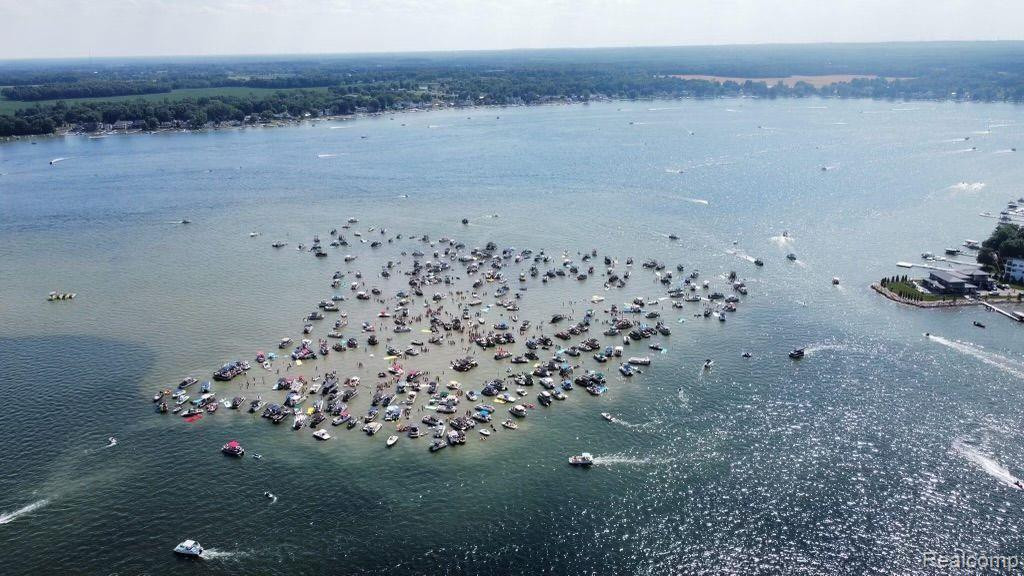 5935 TOWER Drive, Manitou Beach, MI 49253 — Photo 26