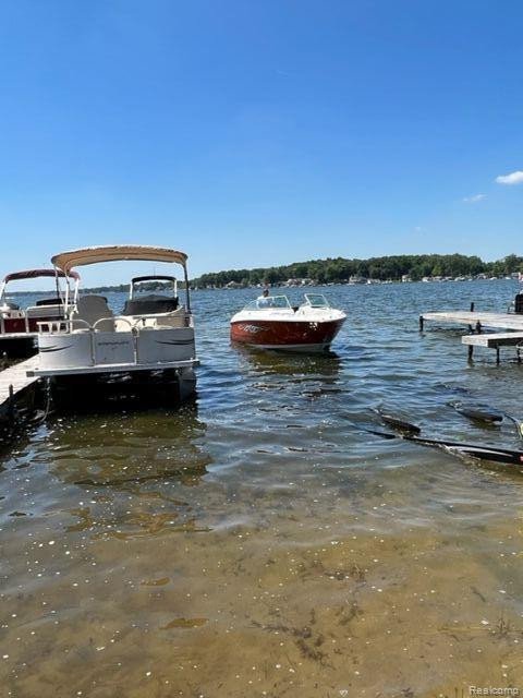 5935 TOWER Drive, Manitou Beach, MI 49253 — Photo 34