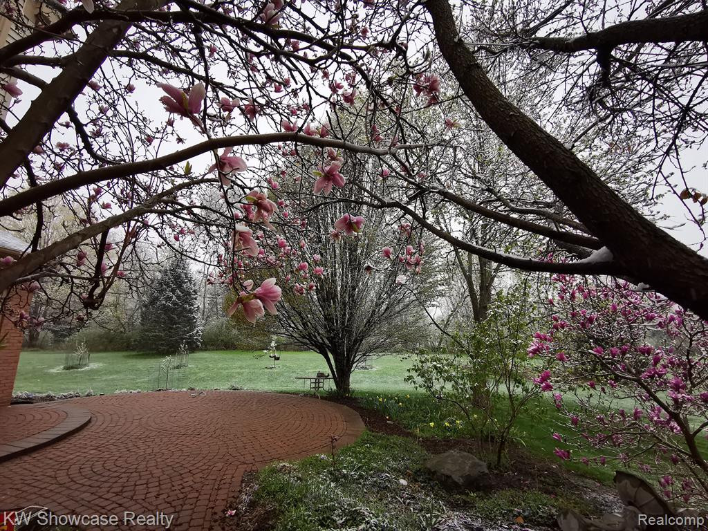 6486 KENNESAW Road, Canton, MI 48187 — Photo 40