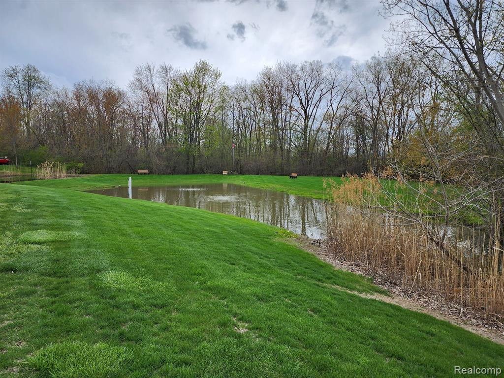 23496 WILLIAMSBURG Circle, 67, Woodhaven, MI 48183 — Photo 41