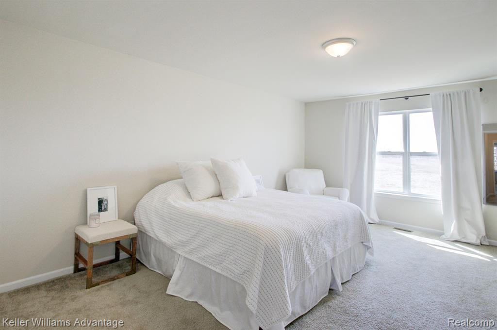 24597 ROSEMONT Unit #59 Drive, South Lyon, MI 48178 — Photo 18