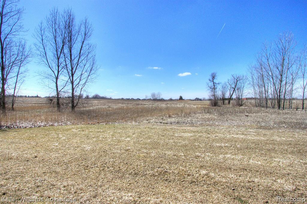 24597 ROSEMONT Unit #59 Drive, South Lyon, MI 48178 — Photo 52