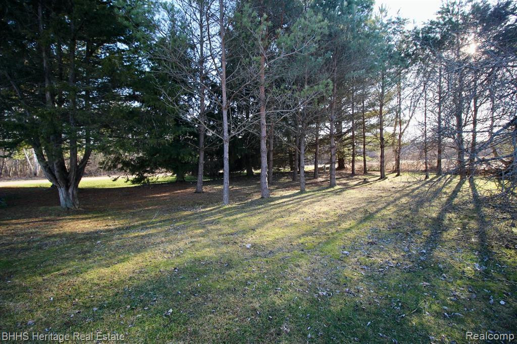 20040 W HARRIS Road, Elsie, MI 48831 — Photo 30
