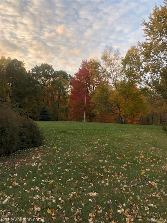 6252 LYONS Road, Imlay City, MI 48444 — Photo 39