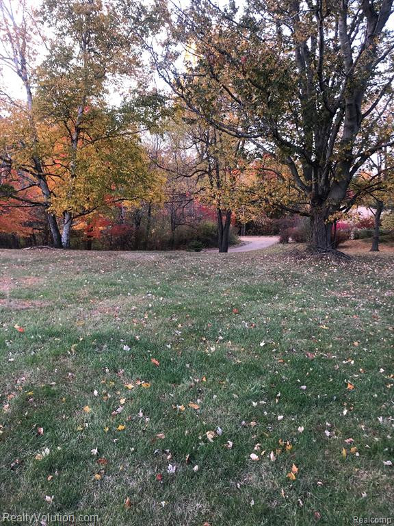 6252 LYONS Road, Imlay City, MI 48444 — Photo 41
