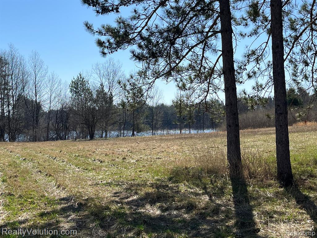 6252 LYONS Road, Imlay City, MI 48444 — Photo 44
