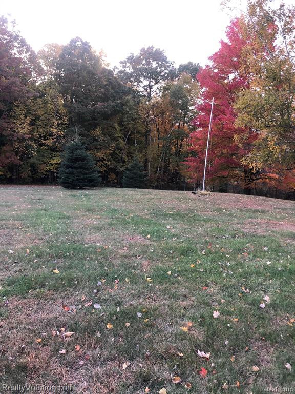 6252 LYONS Road, Imlay City, MI 48444 — Photo 48