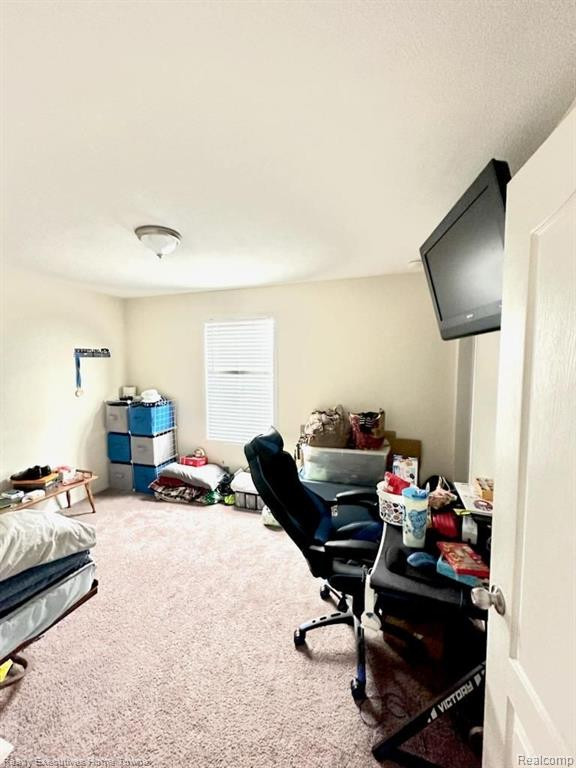 349 Teal Lane, Capac, MI 48014 — Photo 12