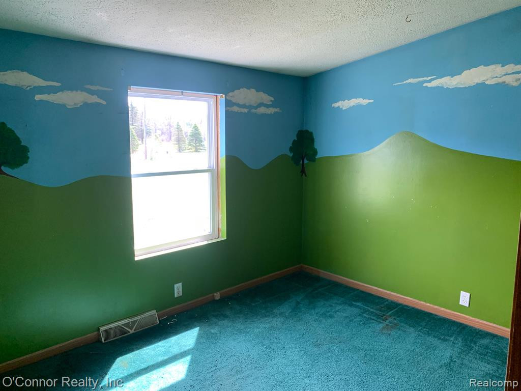 3205 HARRISON Road, Emmett, MI 48022 — Photo 9