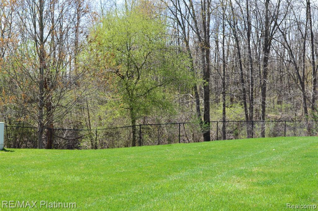 1090 SHIAWASSEE Circle, Howell, MI 48843 — Photo 21