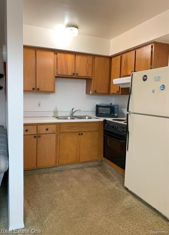 4830 BRIARWOOD Avenue, 8, Royal Oak, MI 48073 — Photo 6