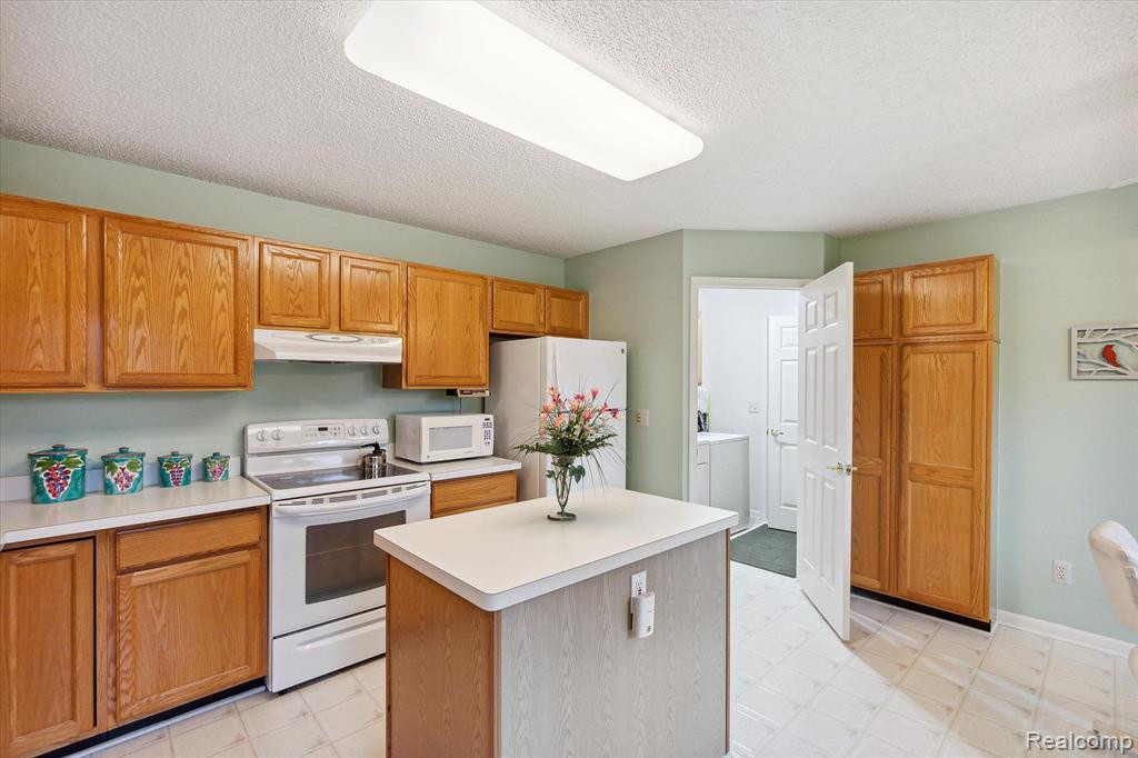 35048 White Pine Trail, Farmington Hills, MI 48335 — Photo 11