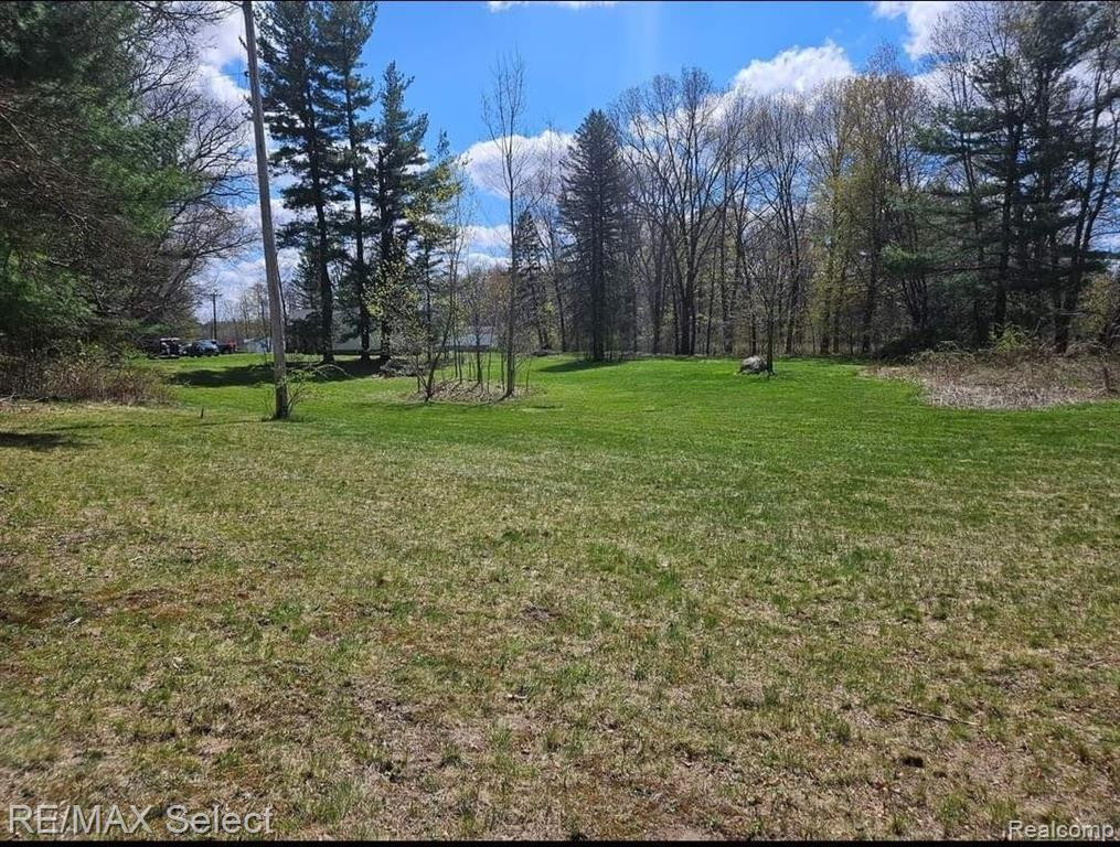 3750 HAYNES Road, Stockbridge, MI 49285 — Photo 6