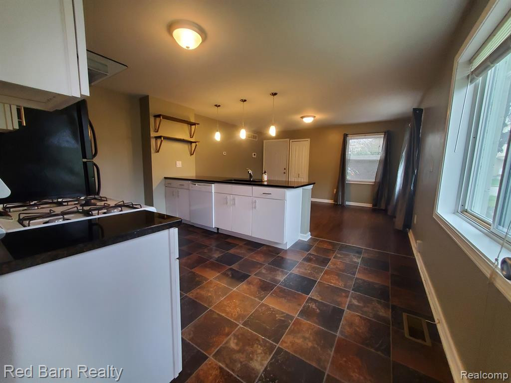 213 S Hamilton Street, Ypsilanti, MI 48197 — Photo 8