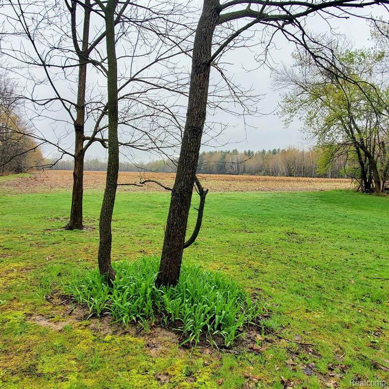 7257 SILVERWOOD Road, North Branch, MI 48461 — Photo 9