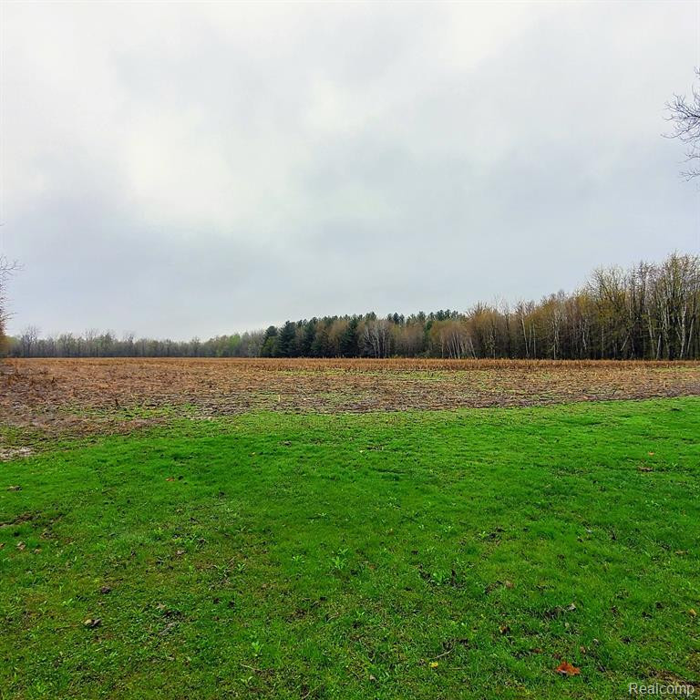 7257 SILVERWOOD Road, North Branch, MI 48461 — Photo 10