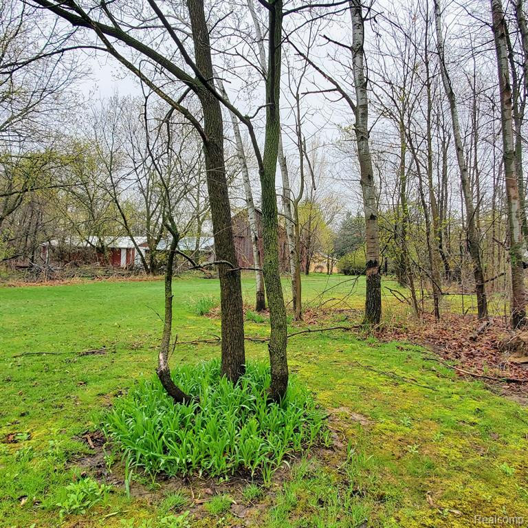 7257 SILVERWOOD Road, North Branch, MI 48461 — Photo 25