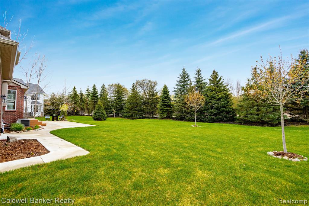 125 Shannon Partin Boulevard, South Lyon, MI 48178 — Photo 11