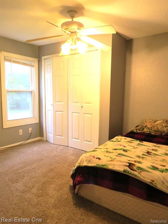 510 W MAPLE Street, Byron, MI 48418 — Photo 28