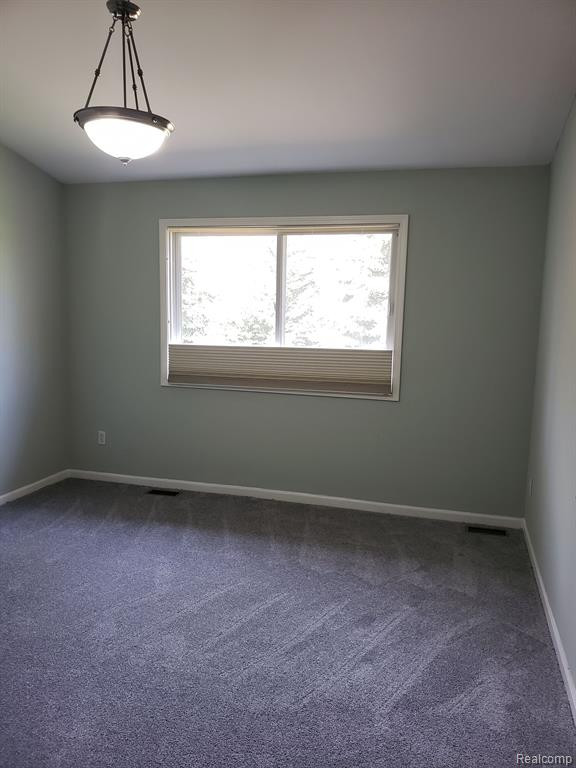 23712 W LAKE Circle N, Brownstown, MI 48183 — Photo 17