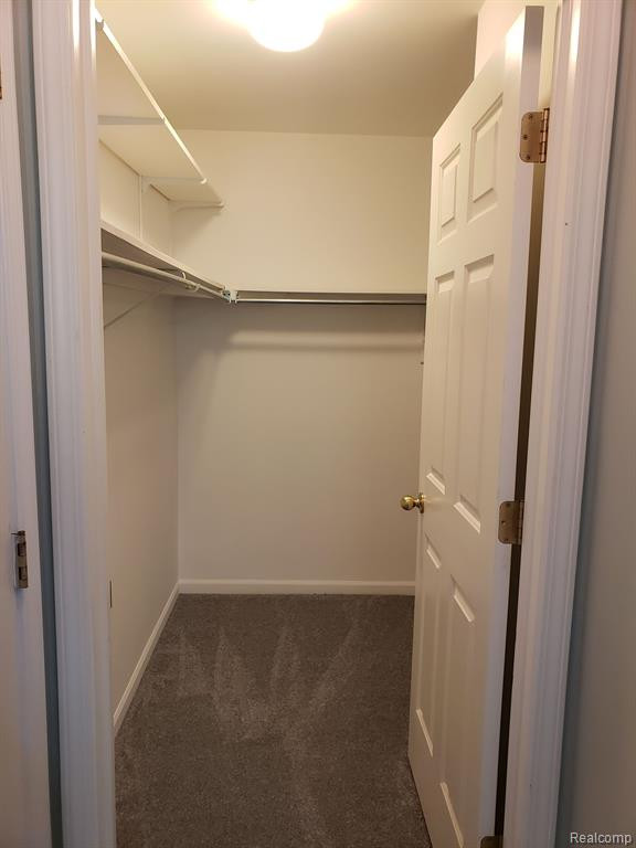 23712 W LAKE Circle N, Brownstown, MI 48183 — Photo 19