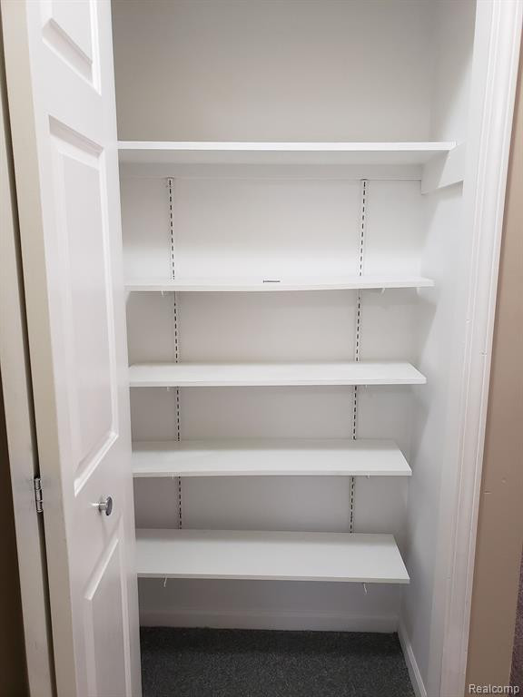 23712 W LAKE Circle N, Brownstown, MI 48183 — Photo 21