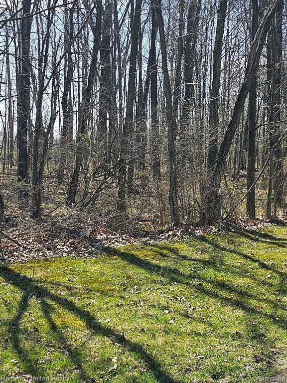 5220 IOSCO Road, Webberville, MI 48892 — Photo 4