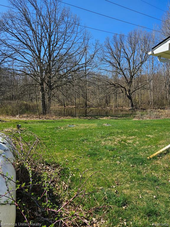 5220 IOSCO Road, Webberville, MI 48892 — Photo 7
