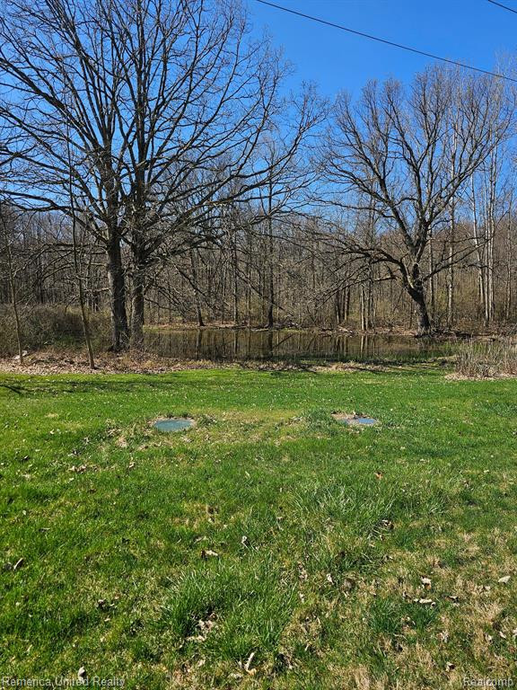 5220 IOSCO Road, Webberville, MI 48892 — Photo 8