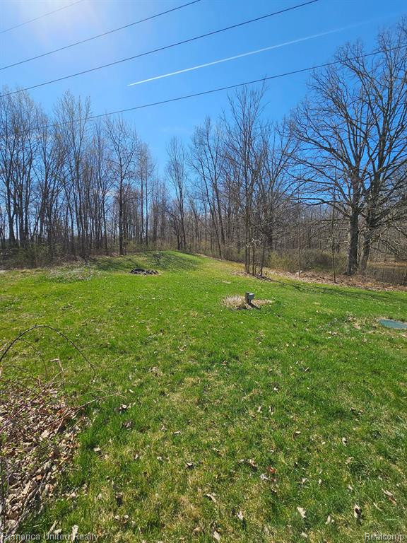 5220 IOSCO Road, Webberville, MI 48892 — Photo 9