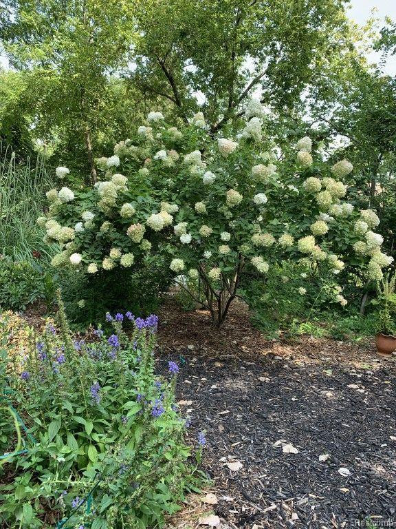 4310 CRESTLINE Drive, Ann Arbor, MI 48103 — Photo 54
