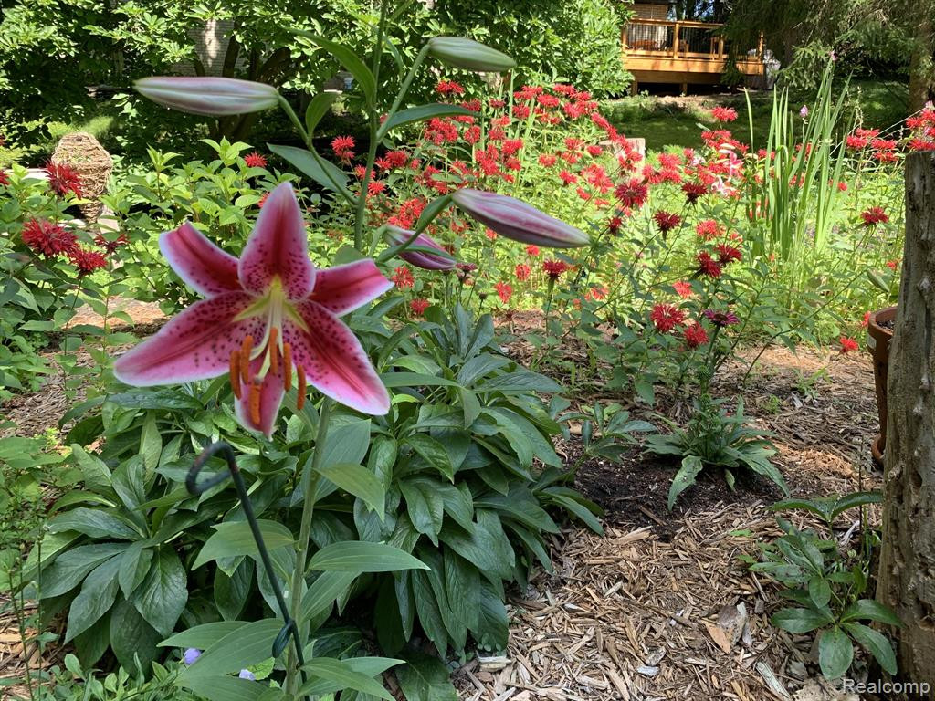 4310 CRESTLINE Drive, Ann Arbor, MI 48103 — Photo 56
