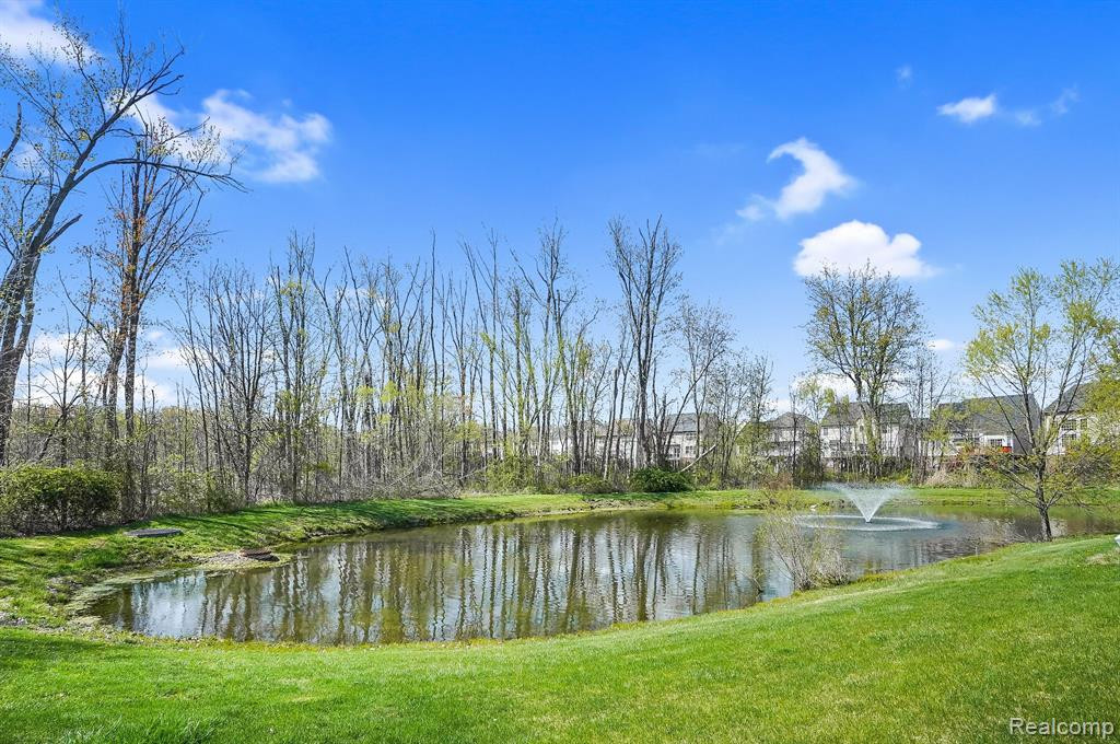 27111 Victoria Road, Novi, MI — Photo 22