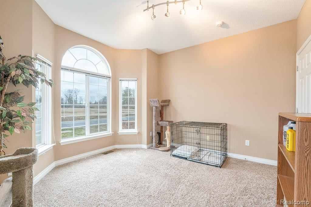 22470 WHITE PINE Drive, New Boston, MI 48164 — Photo 13