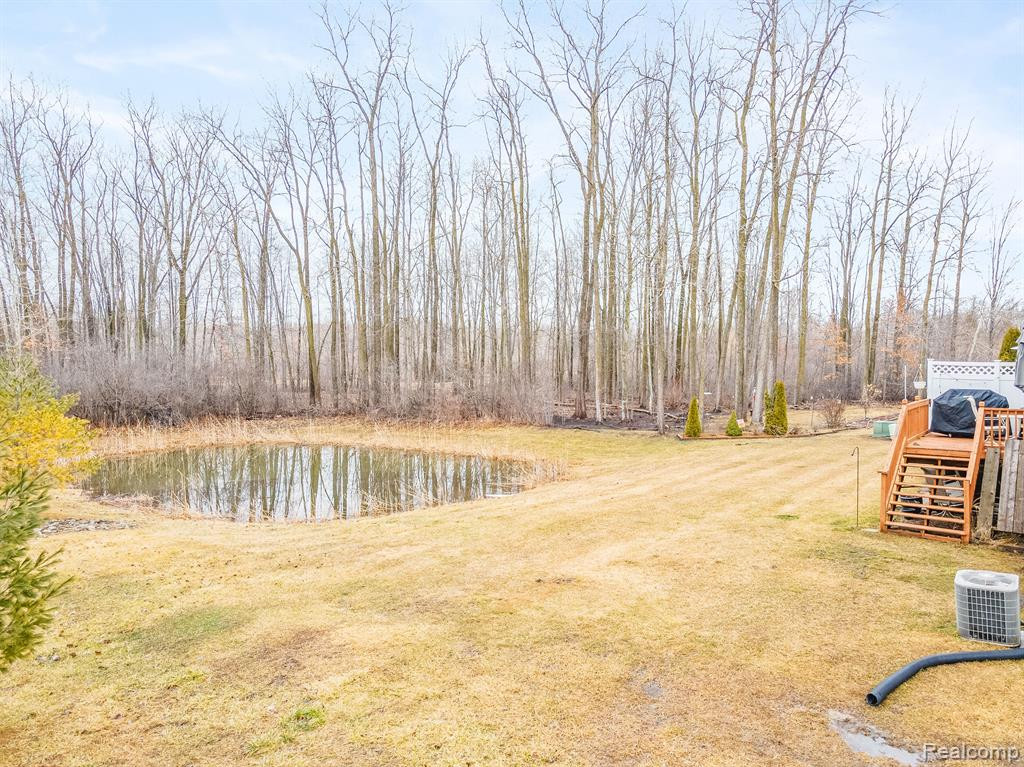 22470 WHITE PINE Drive, New Boston, MI 48164 — Photo 32