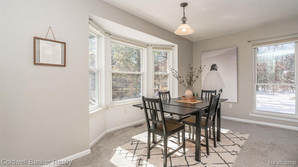 3142 AILSA CRAIG Court, Ann Arbor, MI 48108 — Photo 11