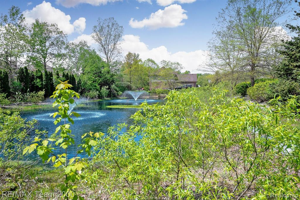 47030 GRAND OAK, Canton, MI 48187 — Photo 4