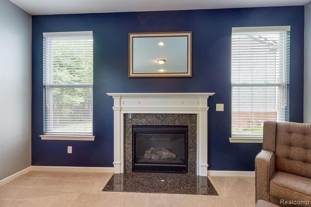 58097 SUNFLOWER Circle S, New Hudson, MI 48165 — Photo 15